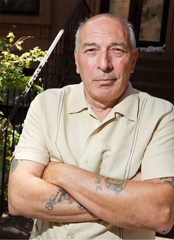 La construcción de la Gowanus