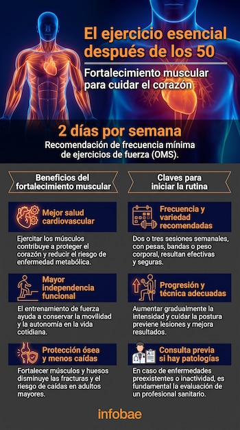 Infografía con cuerpo humano con músculos luminosos y corazón. Muestra beneficios y claves del ejercicio de fortalecimiento muscular después de los 50, según la OMS.