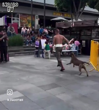 (Instagram / @legadotvmx)