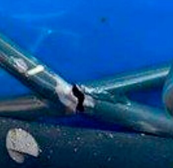 El testimonio ampliado (@MartinPonte85)