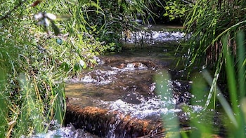 En la firma también participaron