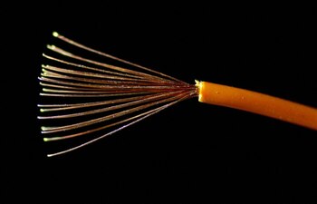 Ilustración fotográfica de un cable