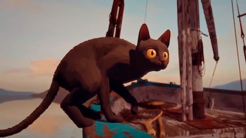 La historia refleja la decisión