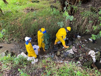 Las campañas de limpieza barrial