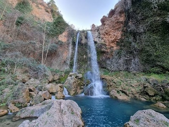 Bosques de ribera y musgo en las rocas crean un paisaje singular junto al lago de Anna