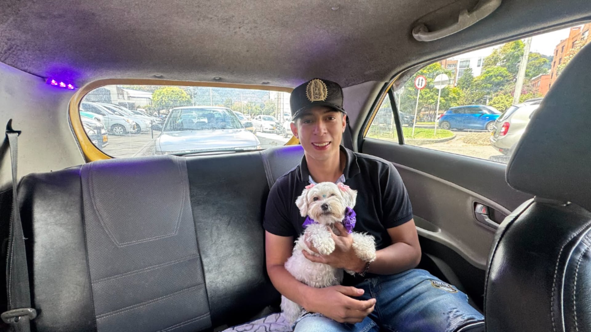Los perros representan el 93,3% de los trayectos registrados, frente al 6,7% de los gatos. (Cabify)