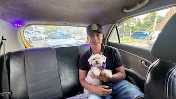 Cabify Mascotas