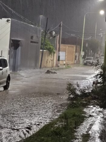 Los usuarios de la red