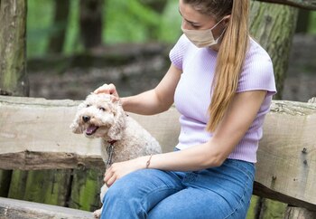 Hablar con las mascotas es