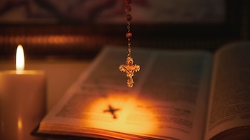 El papa Francisco desigó el