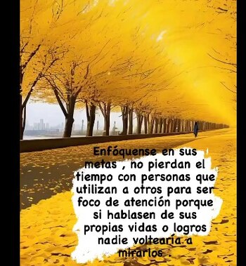 Jessica Newton no se quedó callada ante las acusaciones del fotógrafo Carlo Checa respecto a un supuesto maltrato de Luciana Fuster.