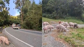 En Yarumal, Antioquia, camión cargado