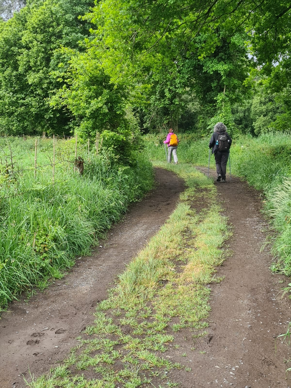 Se avanza por caminos rurales poco transitados