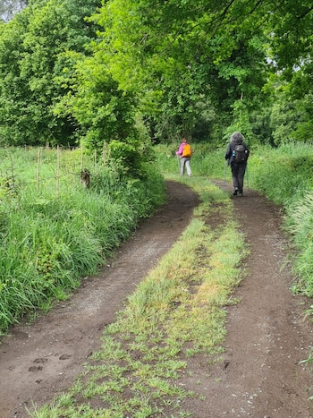 Camino de Santiago