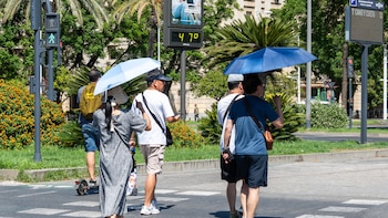 Alergias más intensas, muertes por calor y enfermedades tropicales: el cambio climático golpea Europa, con España entre los más afectados