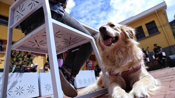 La Cámara de Representantes aprobó