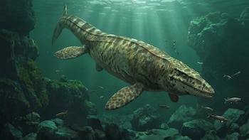Descubrieron al Tylosaurus rex, un gigantesco depredador marino que vivió hace 80 millones de años