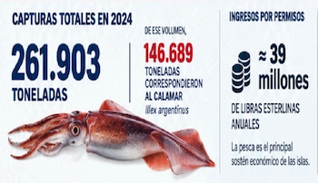 Pesca de calamar en cercanías a Malvinas (Infografía)