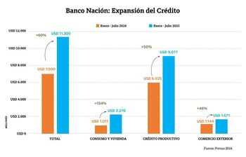 Los créditos del BNA
