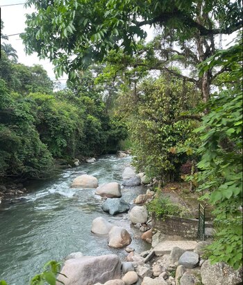 Hombres armados se llevaron a