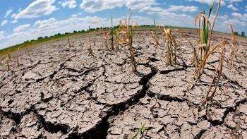Cómo impactará el fenómeno El Niño en Nicaragua y el Corredor Seco entre septiembre y diciembre de 2026