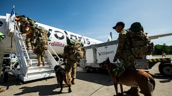 Binomios caninos del Ejército mexicano reciben medalla Héroes Caninos de Venezuela por labores de rescate