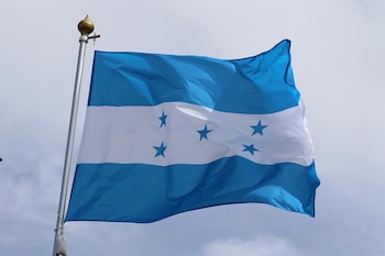 La OACNUDH señaló que las poblaciones afrodescendientes de Honduras enfrentan brechas en el acceso a la educación, la salud, la alimentación, el empleo, la vivienda, la justicia y la vida pública.