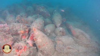 Descubren un tesoro romano frente a las costas de Sicilia