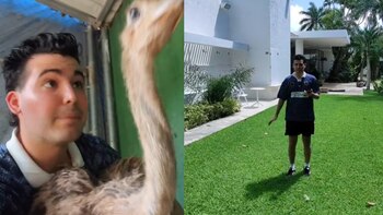 Con el fin de resguardar