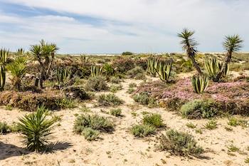 Como su nombre indica, Praia
