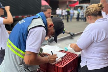 Las autoridades incautaron una tonelada