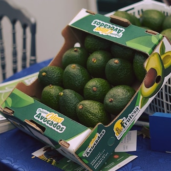 Caja de cartón verde con aguacates Hass. Se observan aguacates verdes dentro de la caja y en una cesta blanca en el fondo
