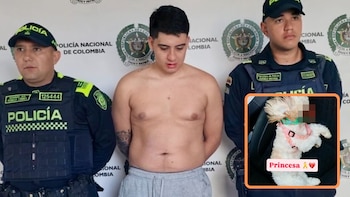 Joven de 22 años lanzó a una perrita desde un octavo piso tras una pelea con su novia