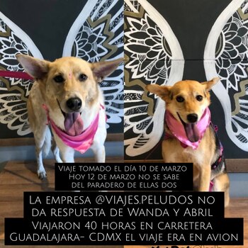 La familia, llena de angustia,