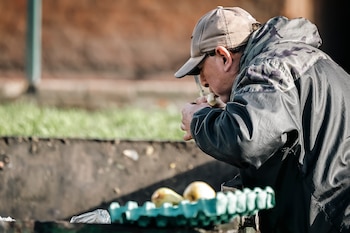 La medida alcanza a unas 5 mil personas y contempla una transición de un año hasta el cierre definitivo del esquema actual (EFE/Juan Ignacio Roncoroni)
