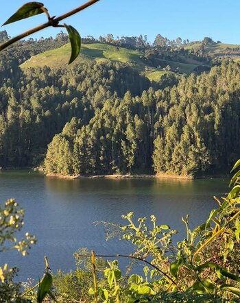 Entrerríos ha captado la atención
