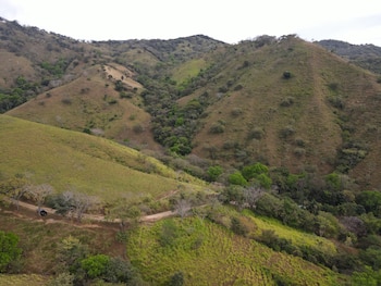 Los estudios técnicos advierten que la deforestación y el avance de potreros han afectado la capacidad de recarga hídrica de la zona. Tomada de MiAmbiente