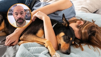 Alfredo Molina, veterinario: “Es importante