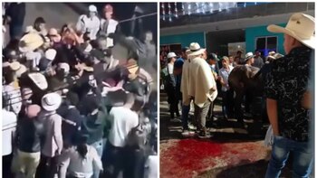 Apuñalaron un caballo en fiestas