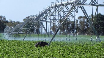 El Gobierno promueve la inversión