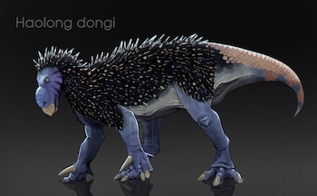 El hallazgo de Haolong dongi