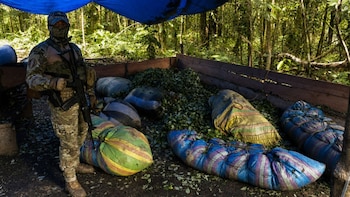 Incautan cerca de nueve toneladas de droga en gran operativo en la triple frontera amazónica