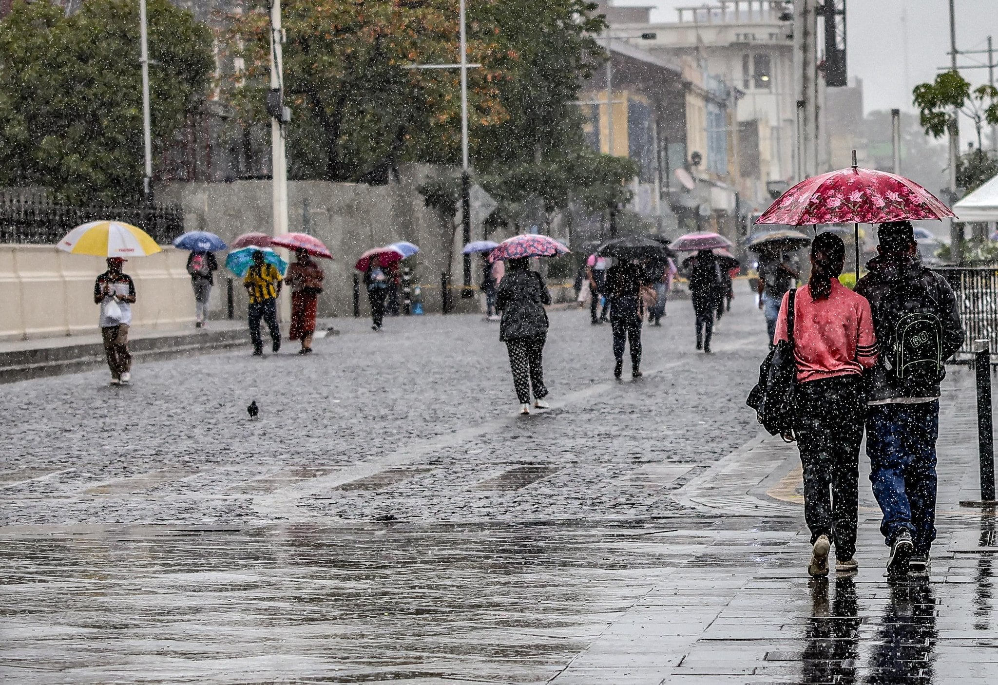 Para el jueves 4 de junio, el pronóstico previó lluvias en la zona central y costera, además de precipitaciones en la cadena montañosa norte y la cordillera volcánica. (Cortesía: Ministerio de Medio Ambiente)