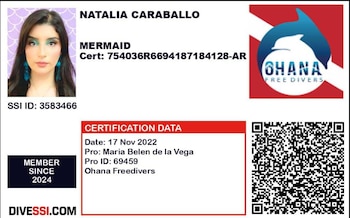 El proceso de certificación internacional