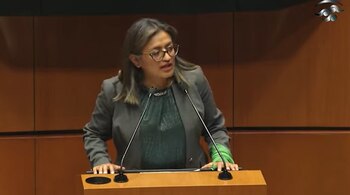 Aleida Ruiz, diputada de Morena,