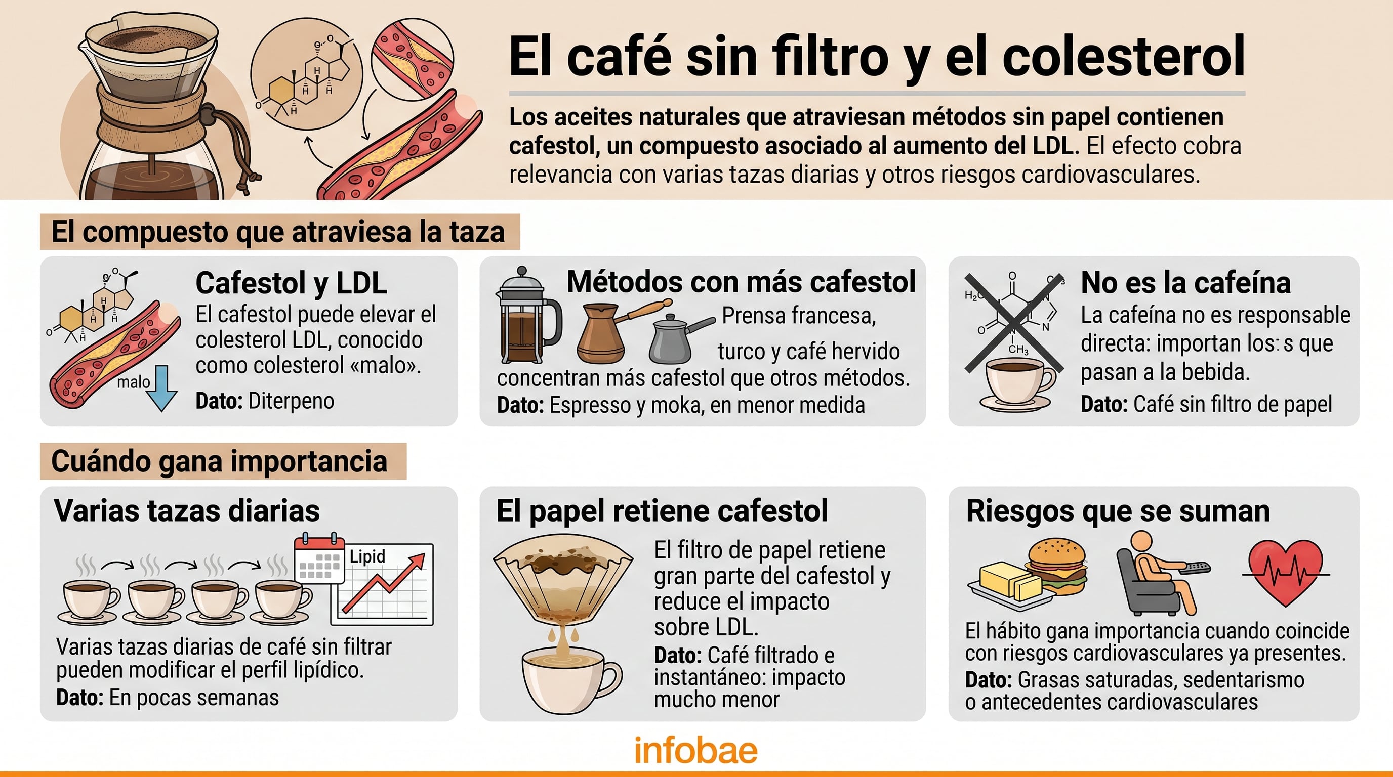Relación entre la preparación de café sin filtro y el aumento del colesterol LDL. (Imagen Ilustrativa Infobae)