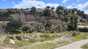 El nuevo hallazgo de un