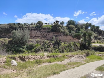 El hallazgo de fósiles en