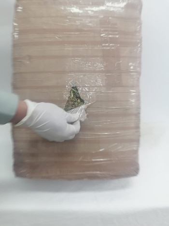 El paquete fue asegurado y