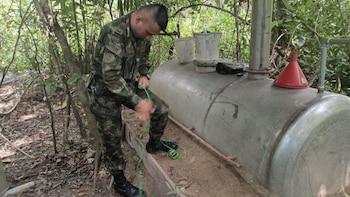 Duro golpe a economía ilícita